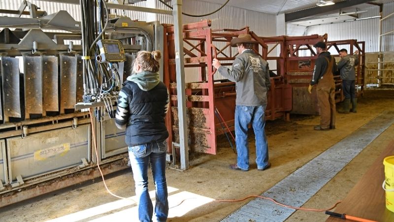 Livestock Facility