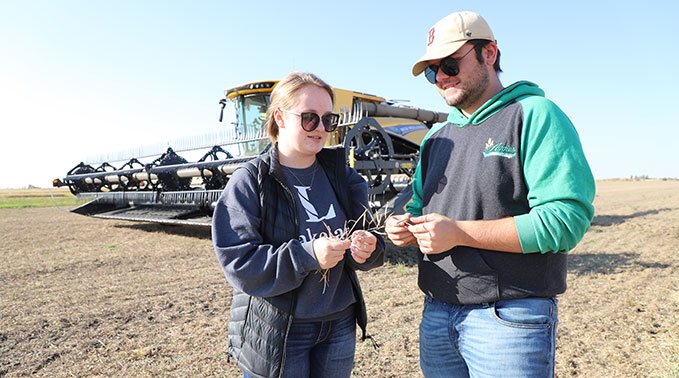 Two agricultural sciences students stand in a crop field to inspect some wheat during Harvest 2023
