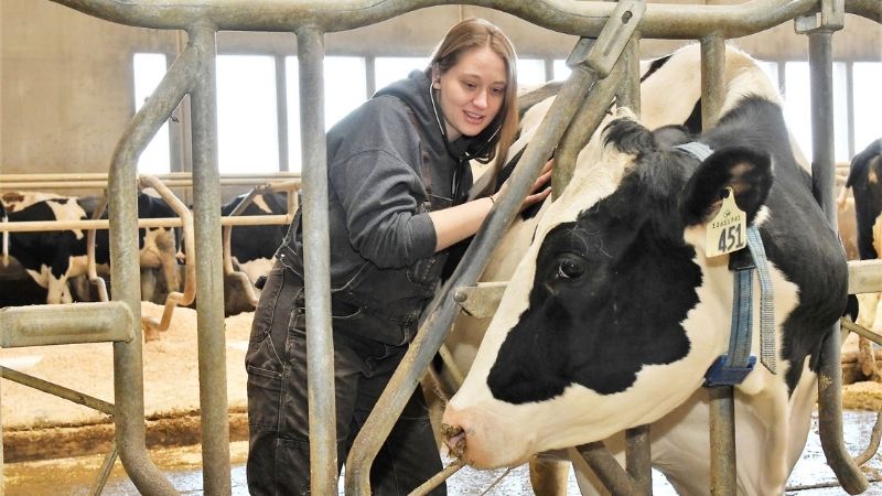 Dairy major