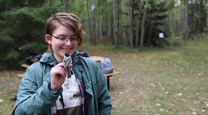 Songbird banding