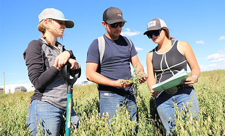 Students in a field study