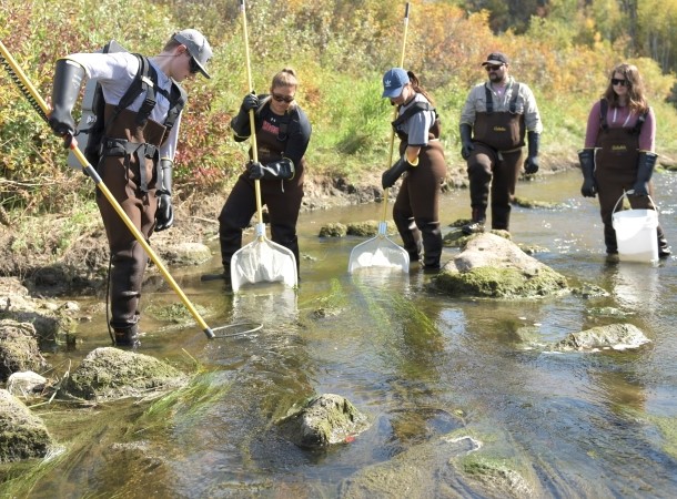 Students doing field work by a stream