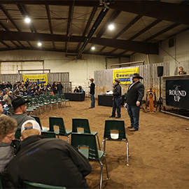 Students working the SMF roundup